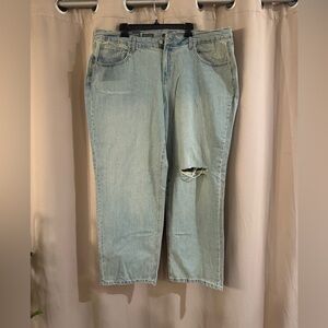 Women’s NWT Wild Fable Plus Size Jeans